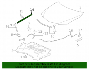 Acura TLX 15- Hood Strut