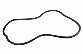Door seal front left Chevrolet Impala 14-20