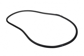 The rear left door seal of the Chevrolet Bolt EV 17-23 has come unglued