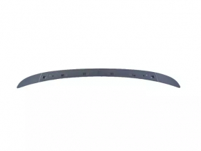 Trunk lid spoiler Dodge Charger 15-23 rest one-piece