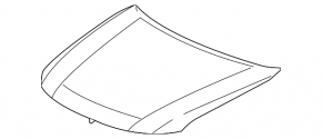 Honda Crosstour 10-15 bare hood
