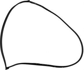 Front left door seal Nissan Altima 13-18