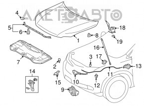 Bonnet bare Lexus RX350 RX450h 10-15 SIGNEDA