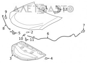 Lexus UX 19-26 hood insulation with torn fasteners