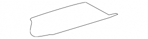 Toyota Camry v40 hybrid trunk floor mat, black