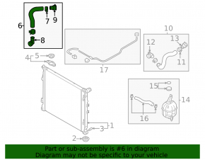 Lower cooling hose Kia Sorento 21-25 HEV, PHEV