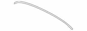 Lincoln MKC 19-19 center hood seal