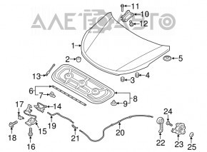 Hood Seal Hyundai Santa FE Sport 13-18