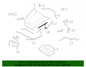 Hood seal right BMW X5 X6 E70 E71 07-13