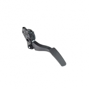 Dodge Grand Caravan 11-20 Gas Pedal