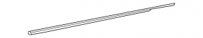Door-glass molding, central rear left, Nissan Altima 13-18, chrome
