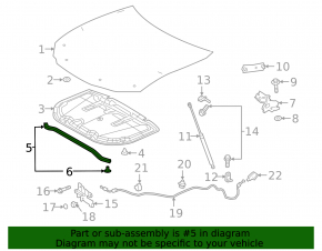 Hood seal Lexus ES250 ES300h ES350 19- on the hood