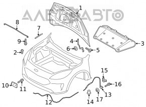 Hood bare Ford Escape MK4 20-22 aluminum OEM