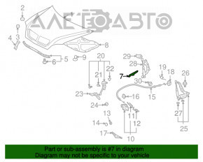 Seal wing hood-wing left Lexus RX300 RX330 RX350 RX400H 04-09