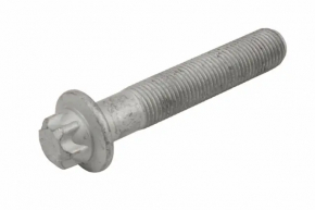 Chevrolet Volt 11-15 Crankshaft Pulley Bolt
