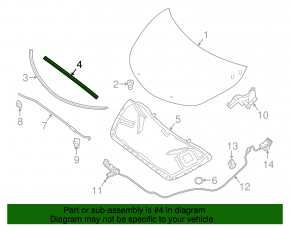 Nissan Altima 13-18 Hood Seal