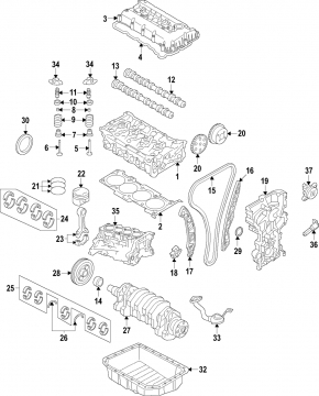Intake camshaft gear for Hyundai Ioniq 17-22 HEV, PHEV 1.6 G4LE