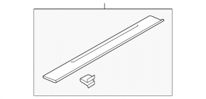 Door sill trim outer right Ford Mustang mk6 15- coupe, black, scratch