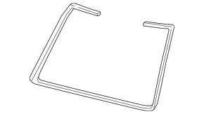 Windshield Seal Lexus RX300 RX330 RX350 RX400h 04-09