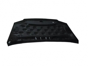 Naked hood Dodge Grand Caravan 11-20