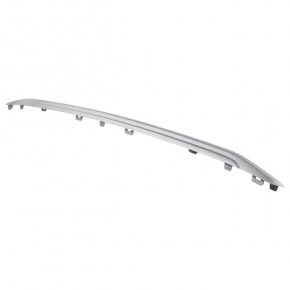 Element of radiator grill insert Ford Ecosport 18-22 top, silver