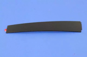 Door trim side rear right Dodge Charger 11-23