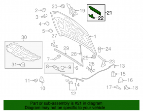Hood seal front left Audi Q5 8R 09-12