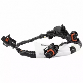 Ford Escape MK3 13-19 1.6T Engine Wiring
