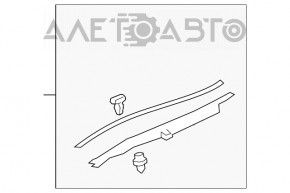 Right hood-wing seal for Lexus ES250 ES300h ES350 19-24