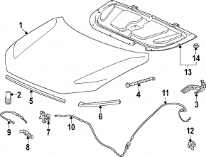 Hood seal front right Honda CRV 23- OEM