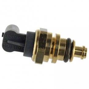 Ford Mustang Mach-E 21-24 Engine Coolant Temperature Sensor